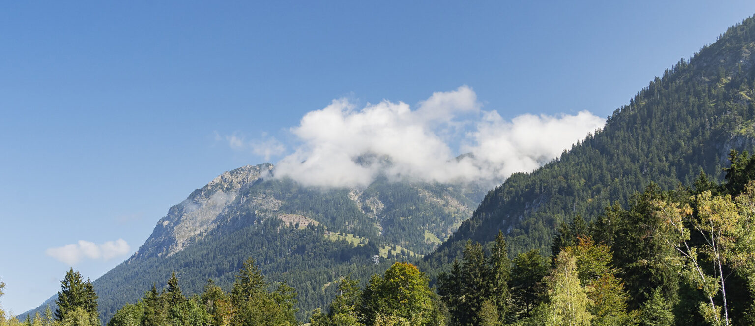 Allgemeine Geschäftsbedingungen