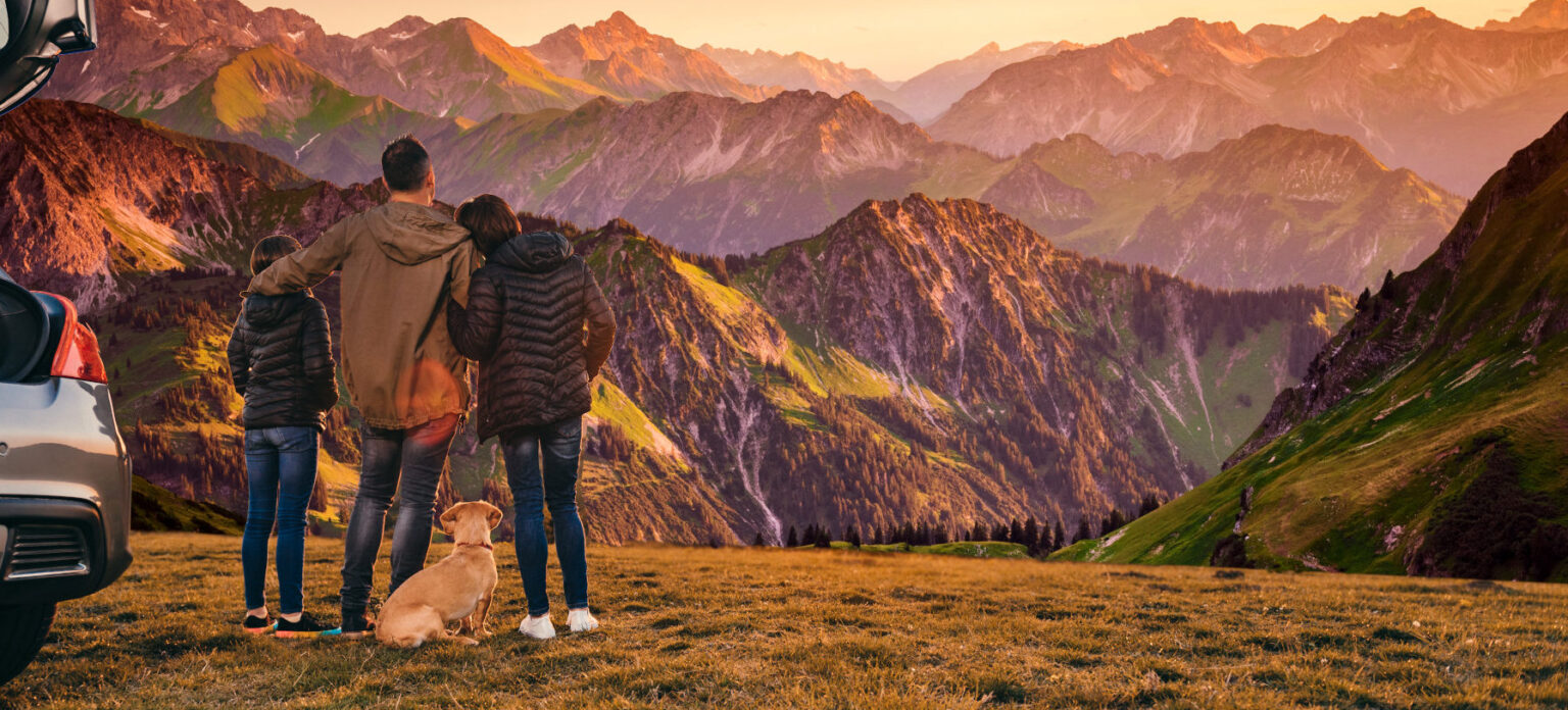 Urlaub mit Hund