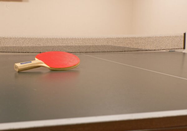 OR tabletennis 2 201121